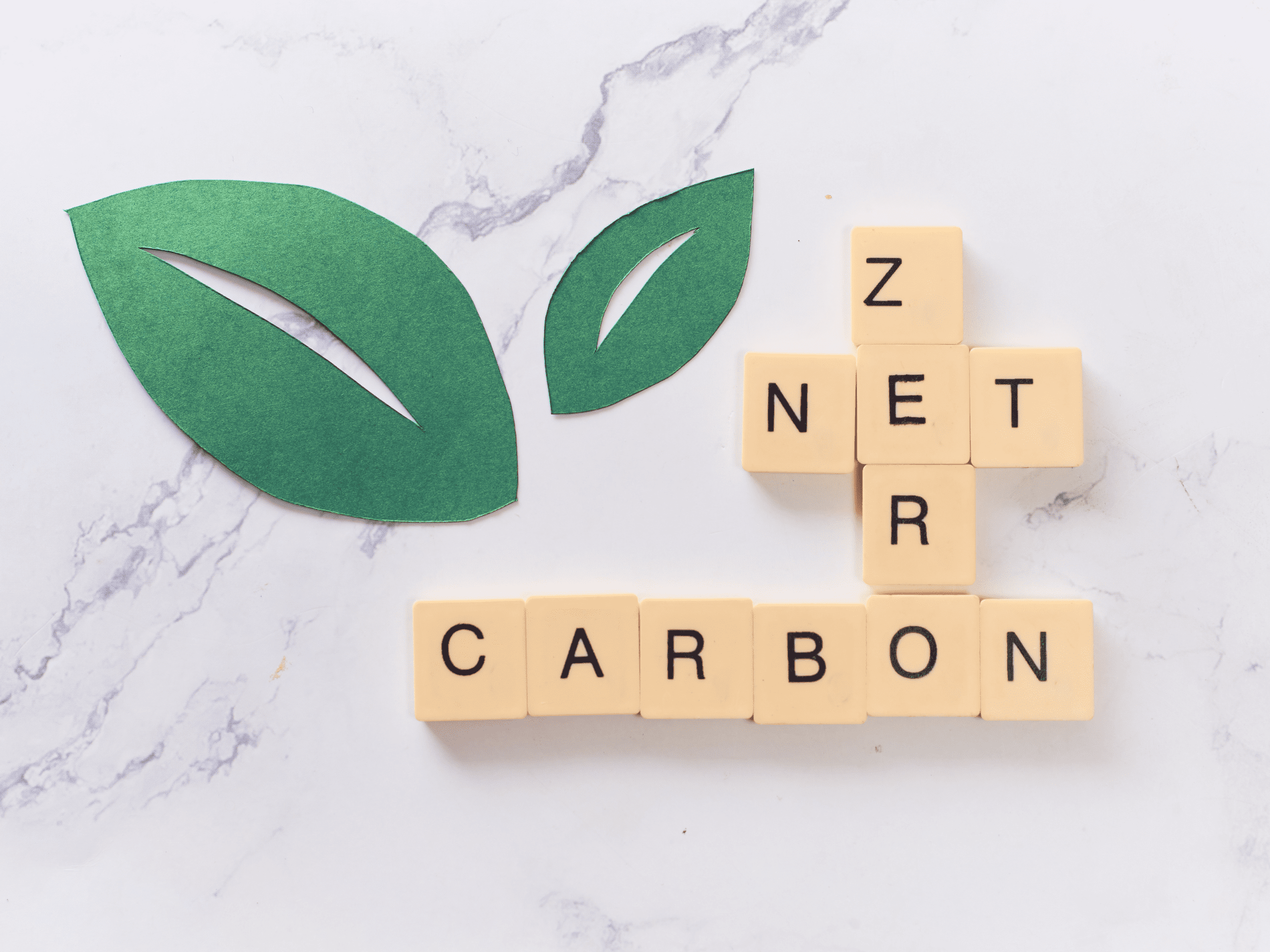Sustainability carbon neutral